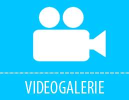 videogalerie_cs.png